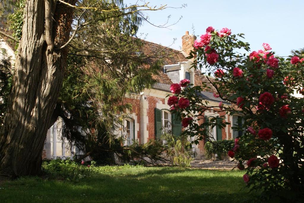 Bed and Breakfast Le Béguinage Cour-Cheverny Exterior foto